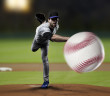 Pitcher Baseball Player